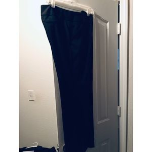 Daisy Fuentes Dress Pants